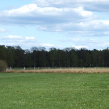 Weide_3.jpg
