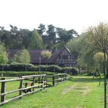 Kleine_Farm_5.jpg