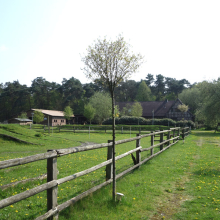 Kleine_Farm_7.jpg