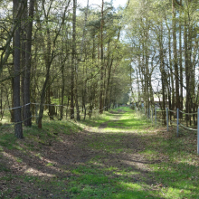 Weg.jpg