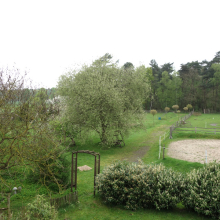 Blick_aus_der_Ferienwohnung_2.jpg