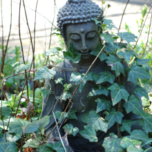 Buddha.jpg