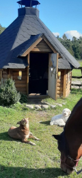 IMG-20201123-WA0004.jpg